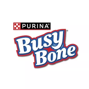 busy bone logo